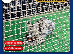 ตะแกรงเหล็ก ตะแกรงเหล็กถัก