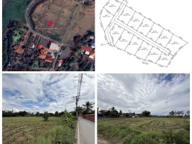 แบ่งขายที่ดิน 14 แปลง ขนาด 75-122 ตารางวา ตั้งอยู่ที่ ตำบลแม่ปูคา