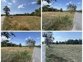 ขายที่ดิน 13 ไร่ 63 ตารางวา นครนายก ถนนสุวรรณศร หมู่ที่9 ต.ป่าขะ