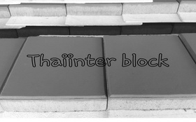 โรงงานบล็อกตัวหนอน ราคาถูก จัดส่งรวดเร็ว ตรงเวลา ติดต่อ0946456262