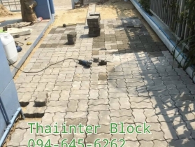 แผ่นทางเท้า บล็อกตัวหนอน บล็อกแปดเหลี่ยม บล็อกปูหญ้า