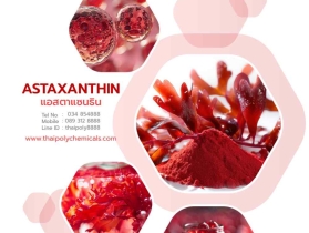 แอสตาแซนธิน, Astaxanthin, ราชาแห่งสารต้านอนุมูลอิสระ