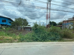 ขายที่ดิน 117 ตรว ซอยบางพลับ 12 ถ.ราชพฤกษ์ นนทบุรี
