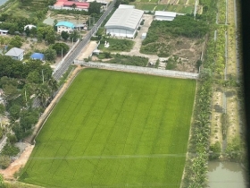 ขายที่ดินสวย 6 ไร่ 63 ตารางวา (พื้นที่สีม่วง) เจ้าของขายเอง