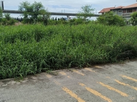 ให้เช่า ที่ดิน เนื้อที่ 5 ไร่ ถนนประชาทร ลาดกระบัง